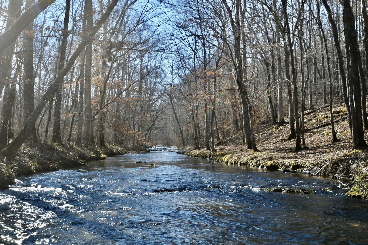 0 Allens Creek Road - Photo 1