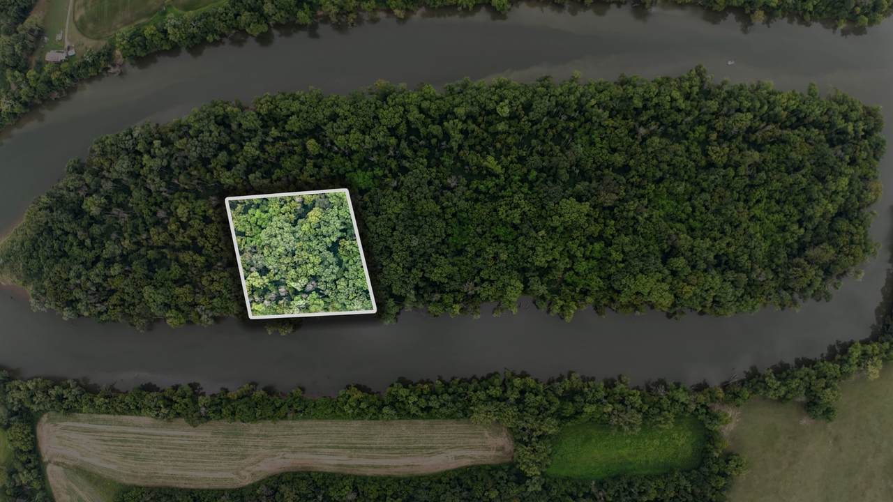 0 Lovells Island - Photo 1