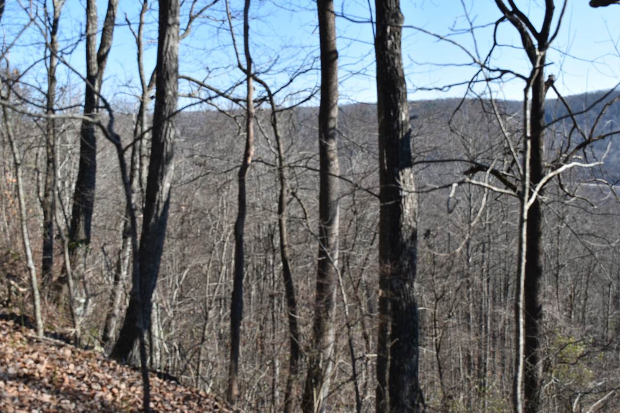 https://bt-photos.global.ssl.fastly.net/nashville/1280_boomver_2_RTC3070987-1.jpg