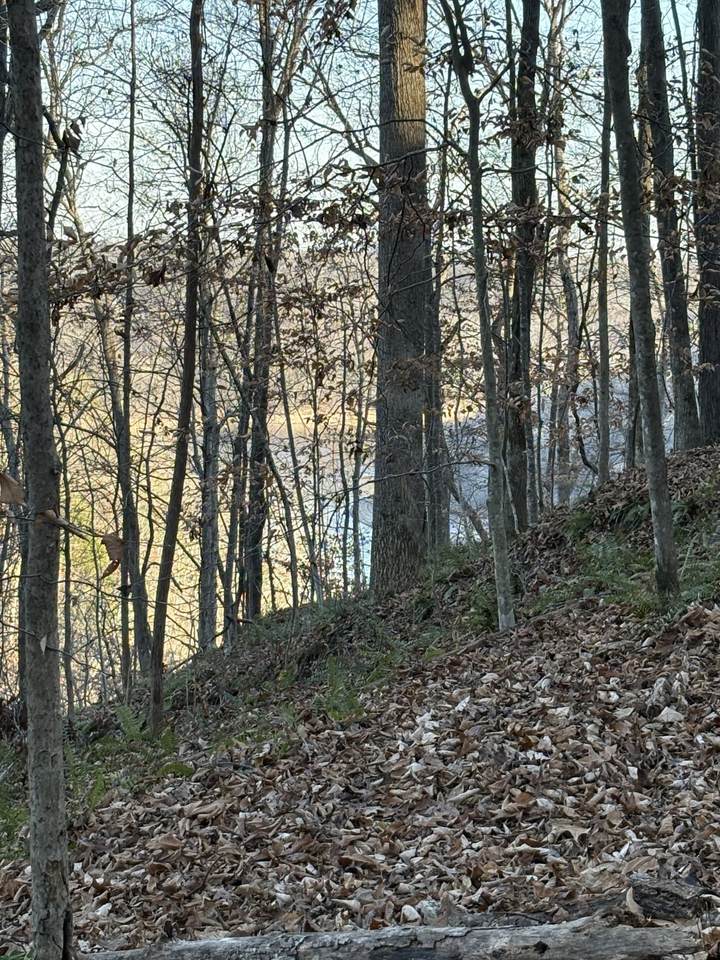 0 Mountain Lake Lane - Photo 1