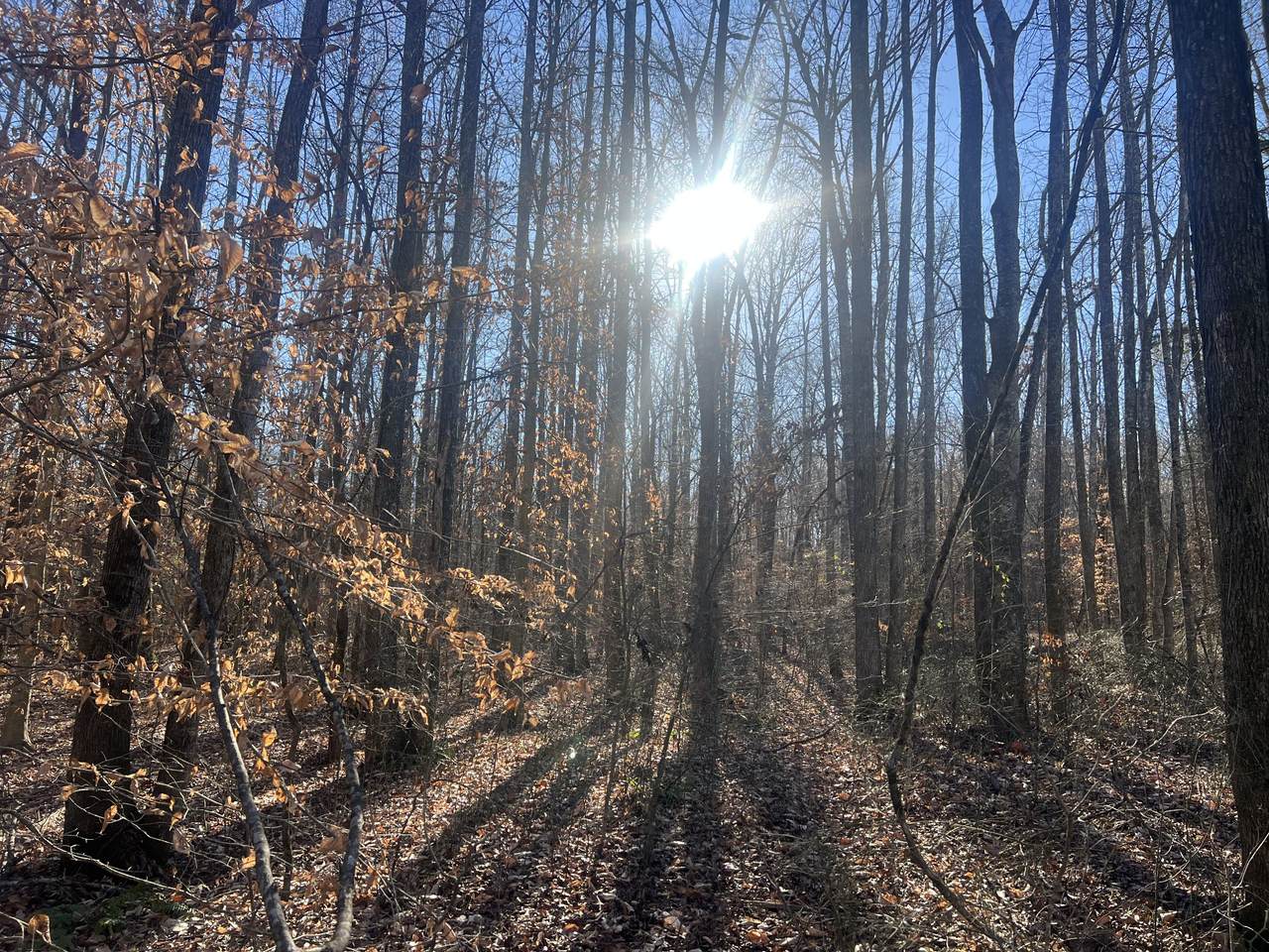 0 Excalibur Trail - Photo 1