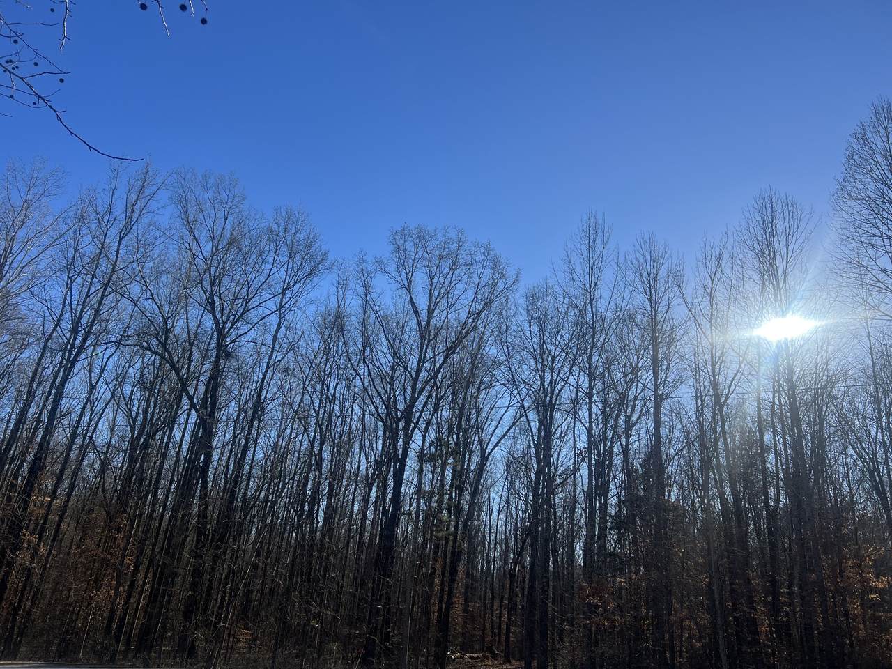 https://bt-photos.global.ssl.fastly.net/nashville/1280_boomver_1_RTC3071710-1.jpg