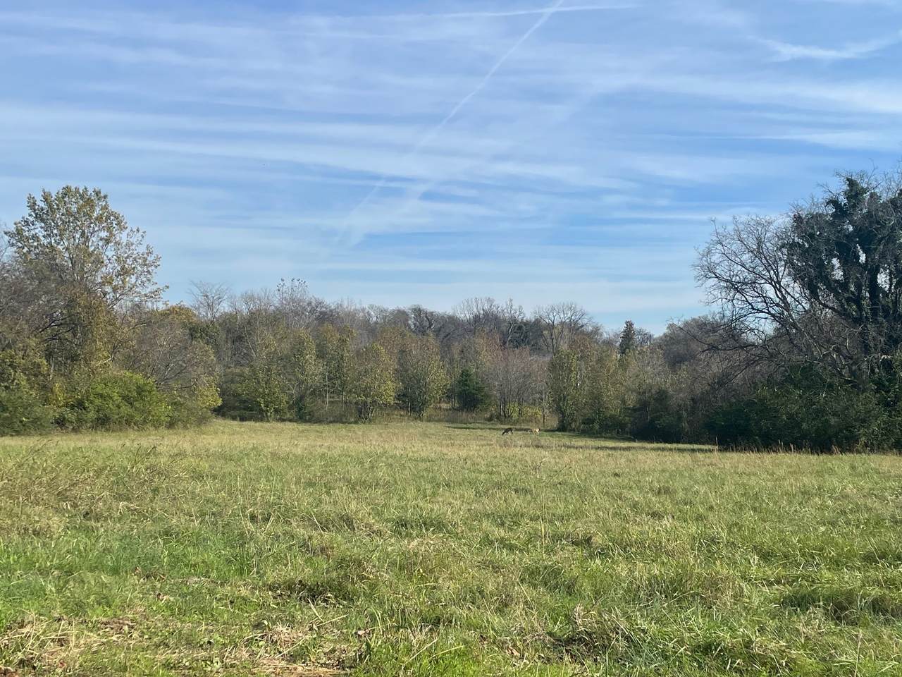 0 Blythe Ave - Photo 1