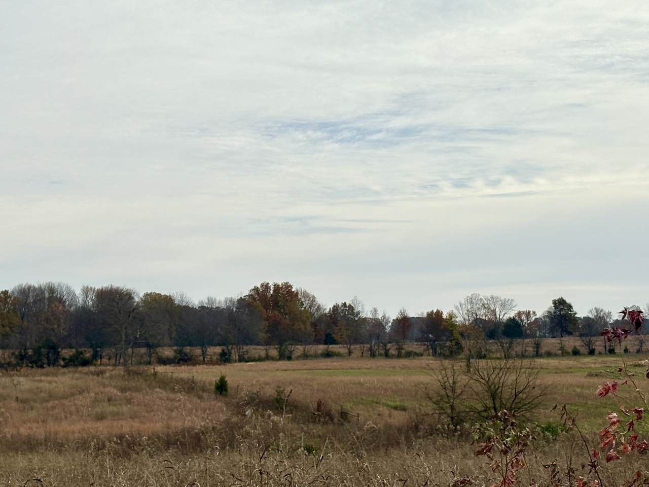 0 Halltown Rd - Photo 1