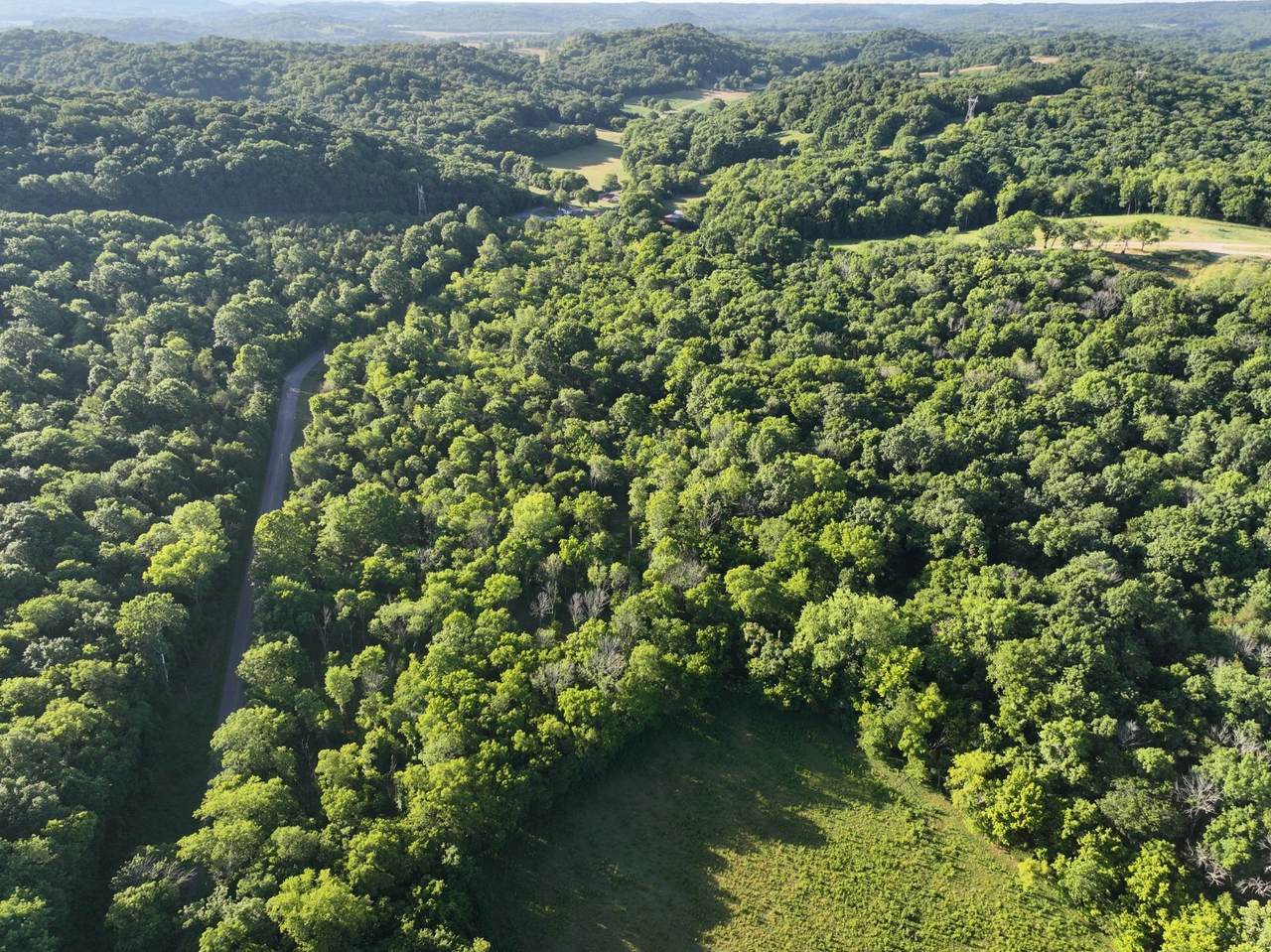 4 Reece Church Rd - Photo 1