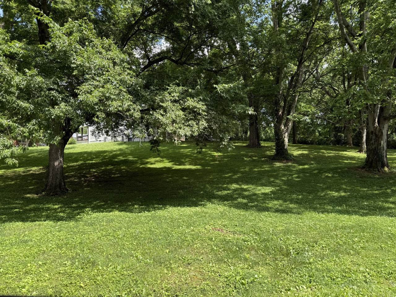 0 Poplar St - Photo 1