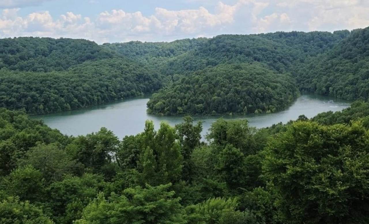 56 Nadia Lane - Photo 1