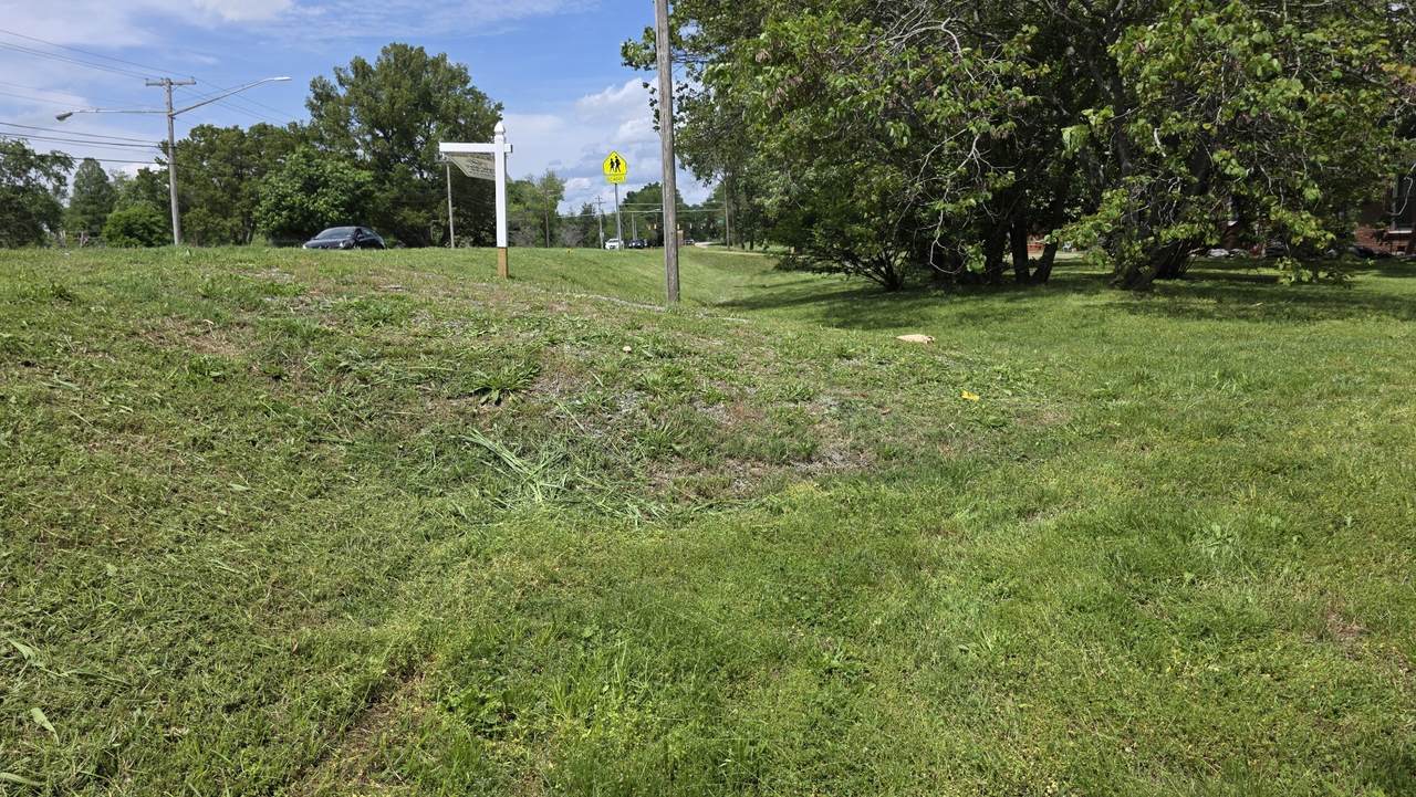 0 Lion Parkway - Photo 1