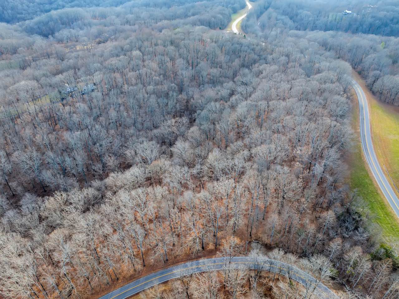 0 Waddell Hollow Road - Photo 1