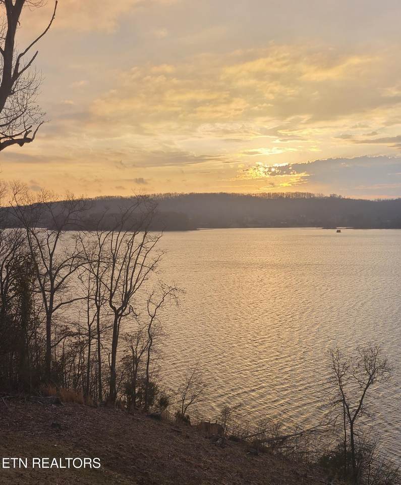 https://bt-photos.global.ssl.fastly.net/nashville/1280_boomver_1_RTC3079728-1.jpg