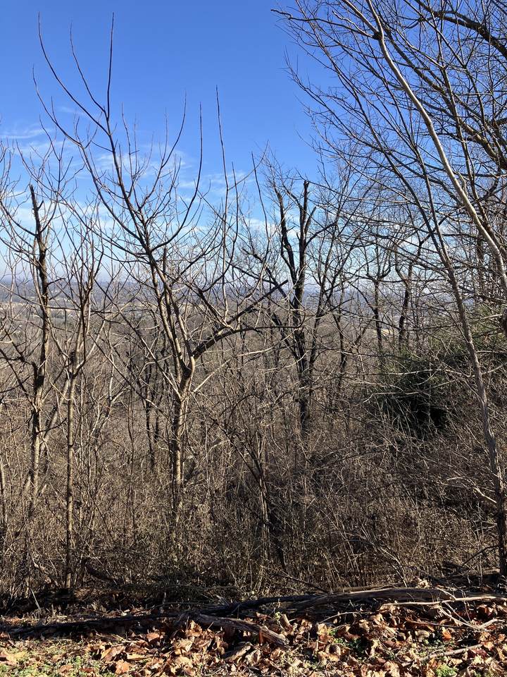 1200 Longstreet Cir - Photo 1