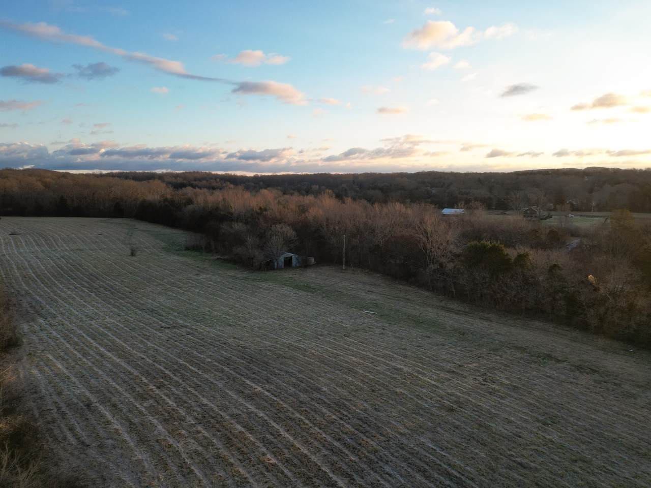 https://bt-photos.global.ssl.fastly.net/nashville/1280_boomver_1_RTC3080616-1.jpg