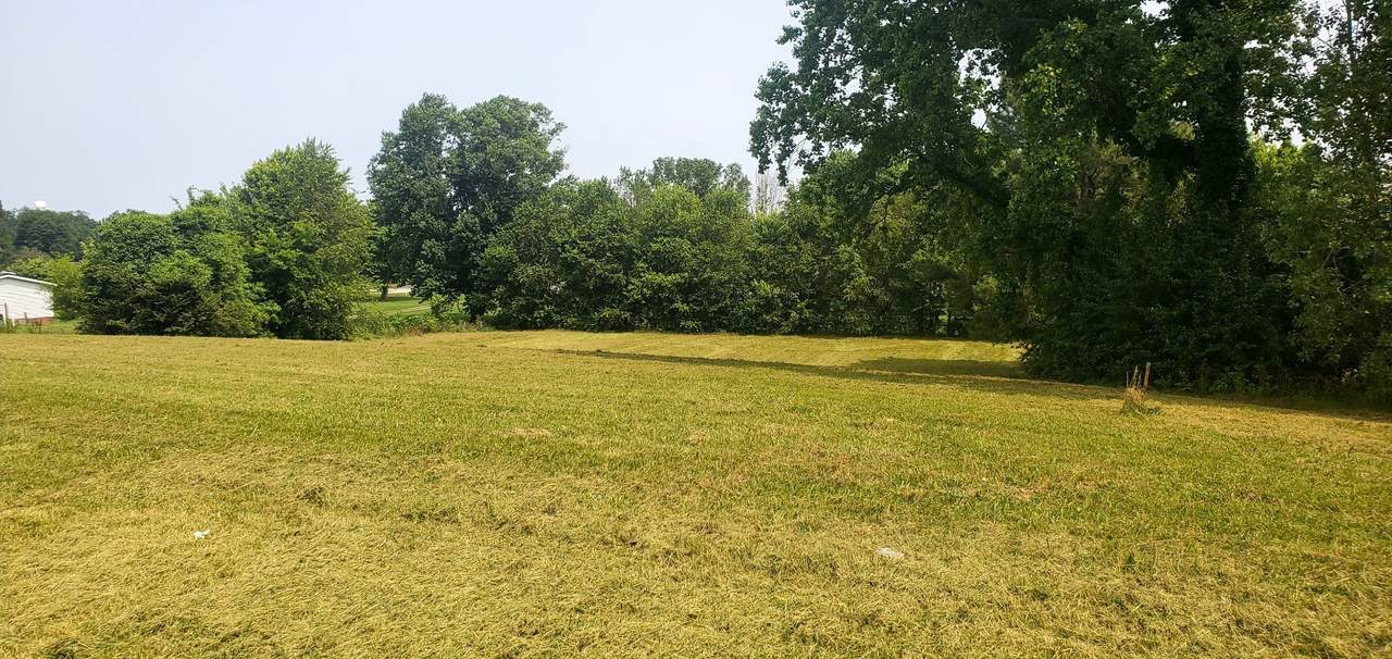 1171 Highway 52 W - Photo 1