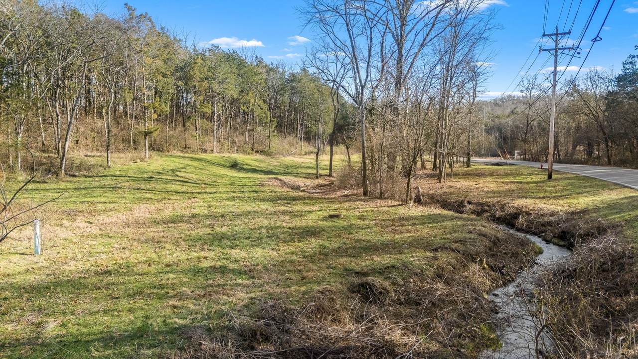 0 Cane Ridge Rd - Photo 1