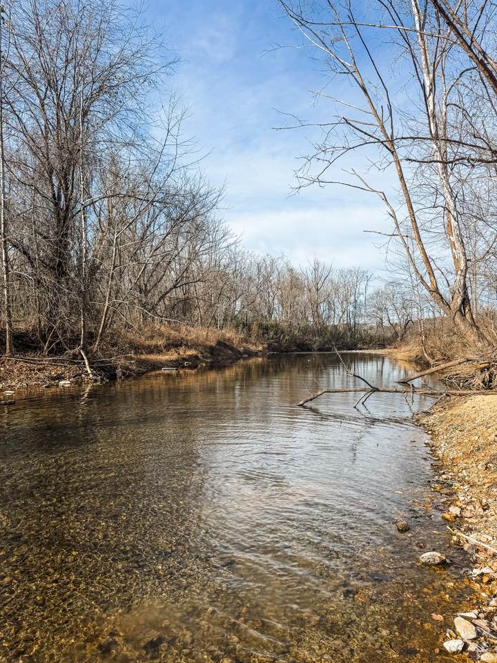 0 Yellow Creek Rd - Photo 1