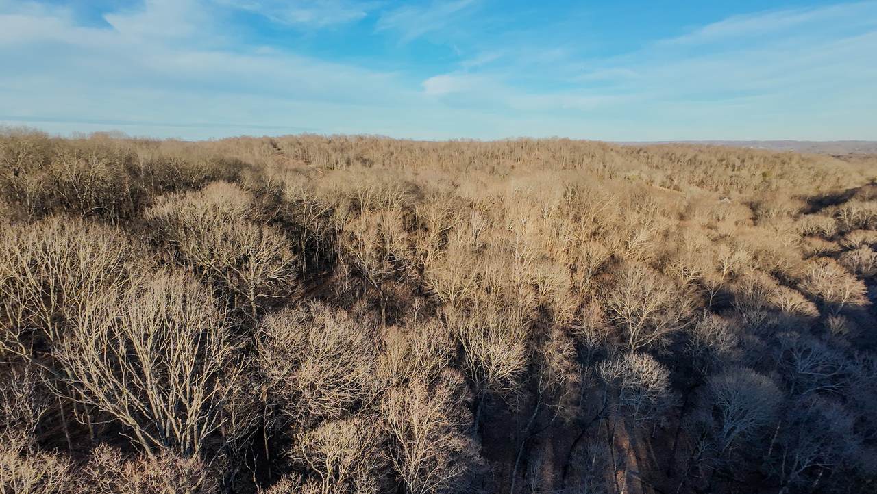 1843D Garrison Branch Rd - Photo 1