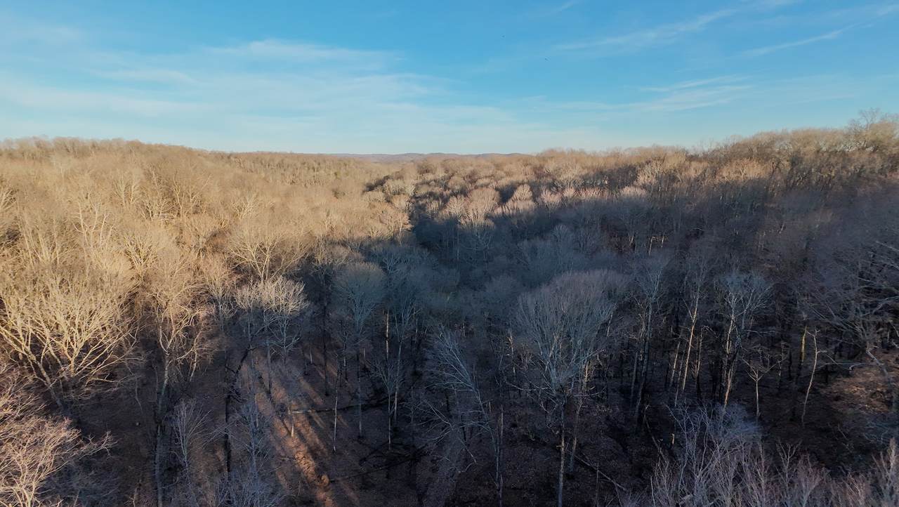 1843D Garrison Branch Rd - Photo 1