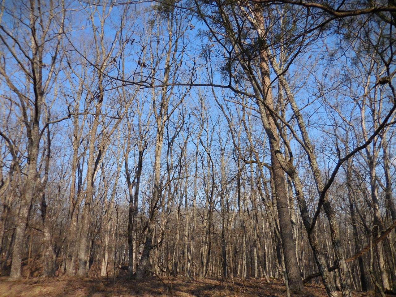 133 Greenbrier Loop - Photo 1