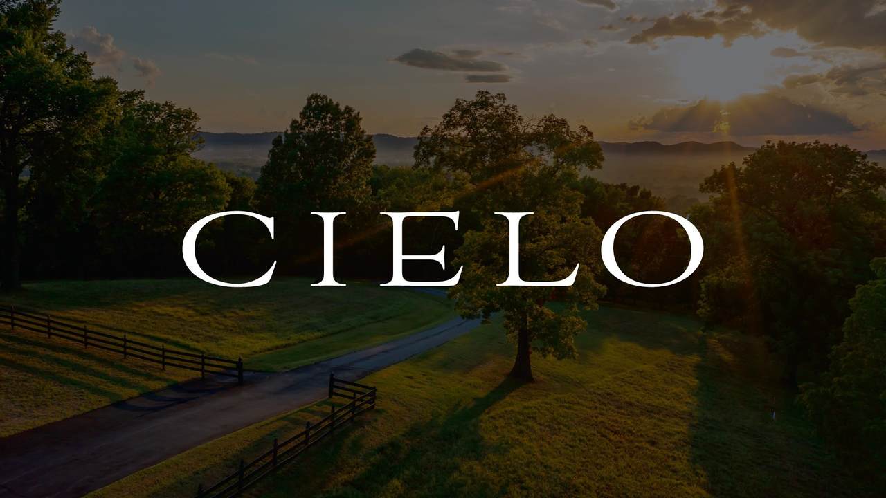 9227 Old Smyrna Rd Lot 9 - Photo 1