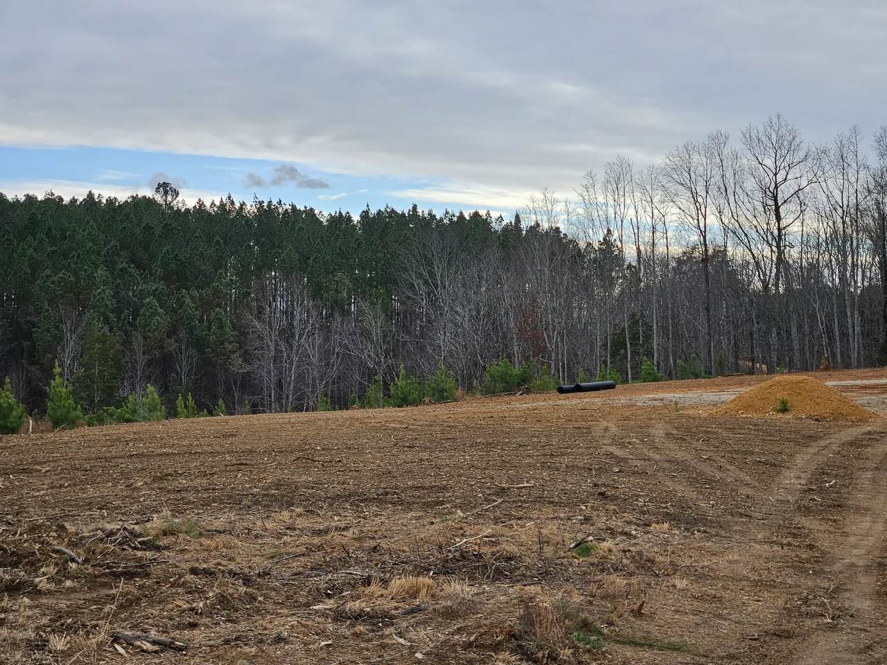 0A Waynesboro Hwy - Photo 1