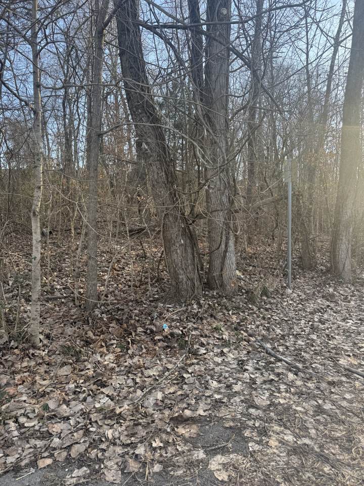 708 Peachers Dr - Photo 1