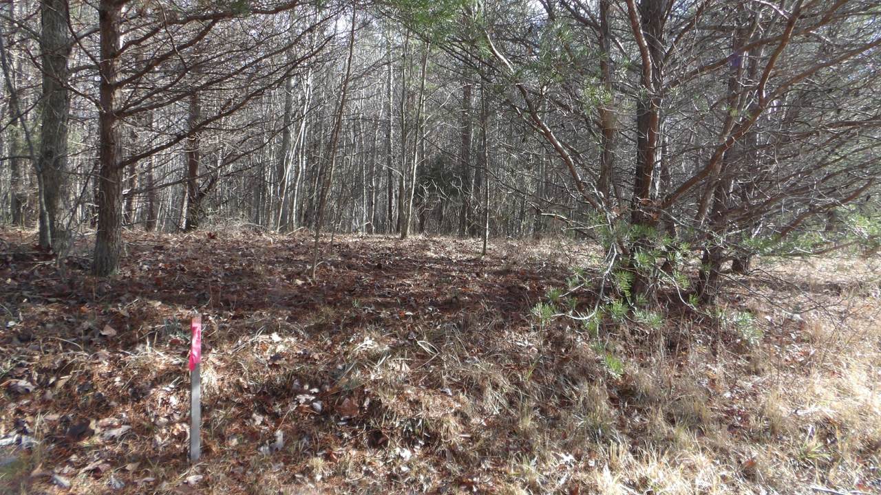 0 Meadow Lane - Photo 1