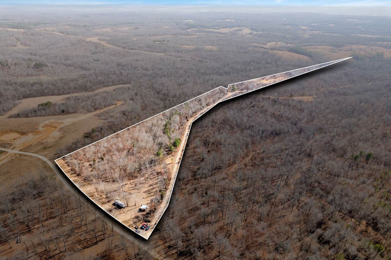 262 Deer Haven Rd - Photo 1