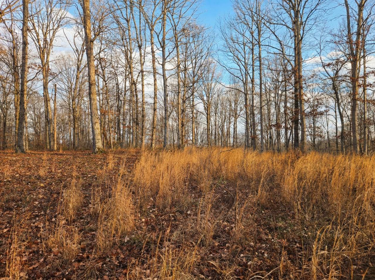 0 Havenwood Rd - Photo 1