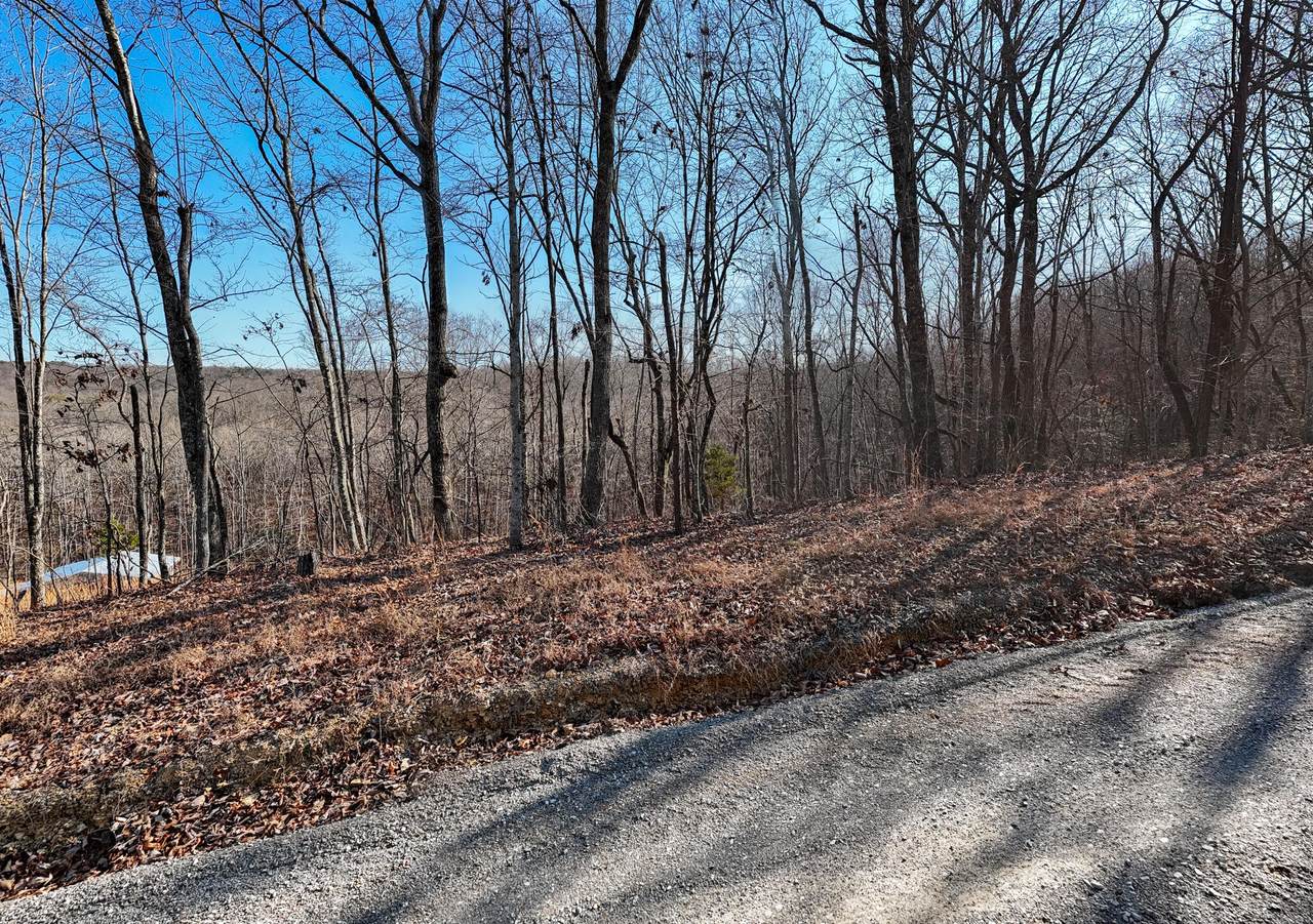 0 Greenwood Dr - Photo 1