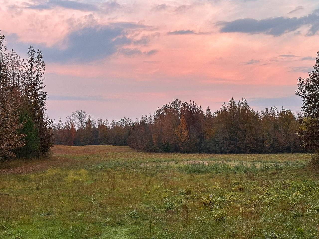 0 Hines Gin Road - Photo 1