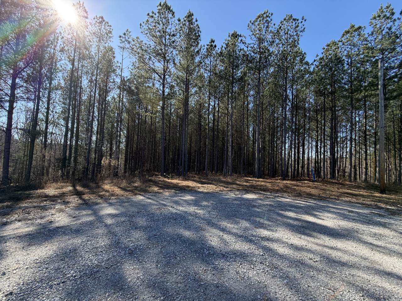 533 Center Ridge Dr - Photo 1