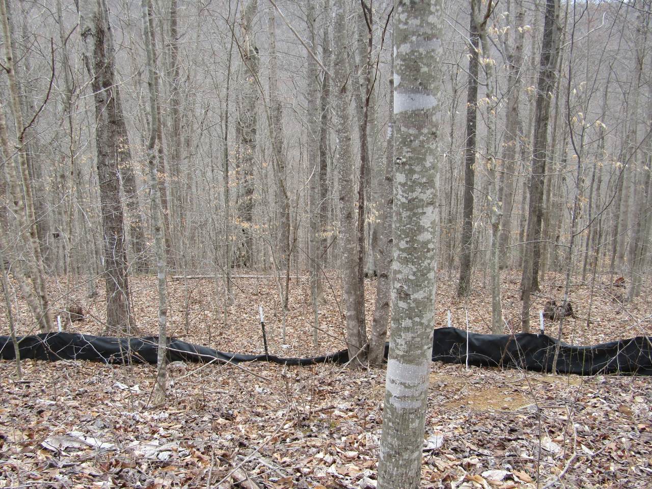 0 Bobcat Lane - Photo 1