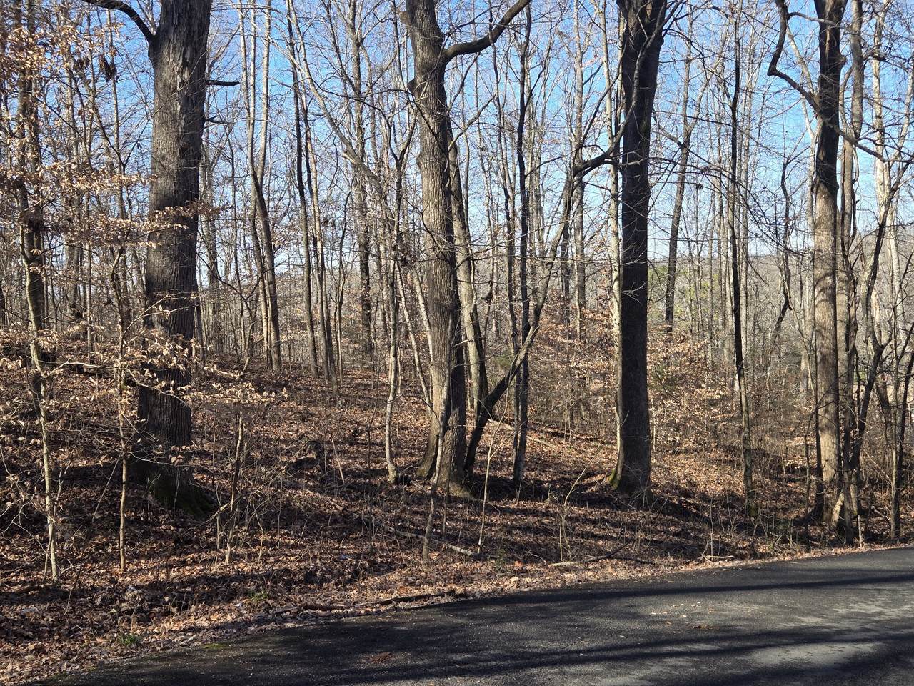 0 Westwood Dr Main St - Photo 1