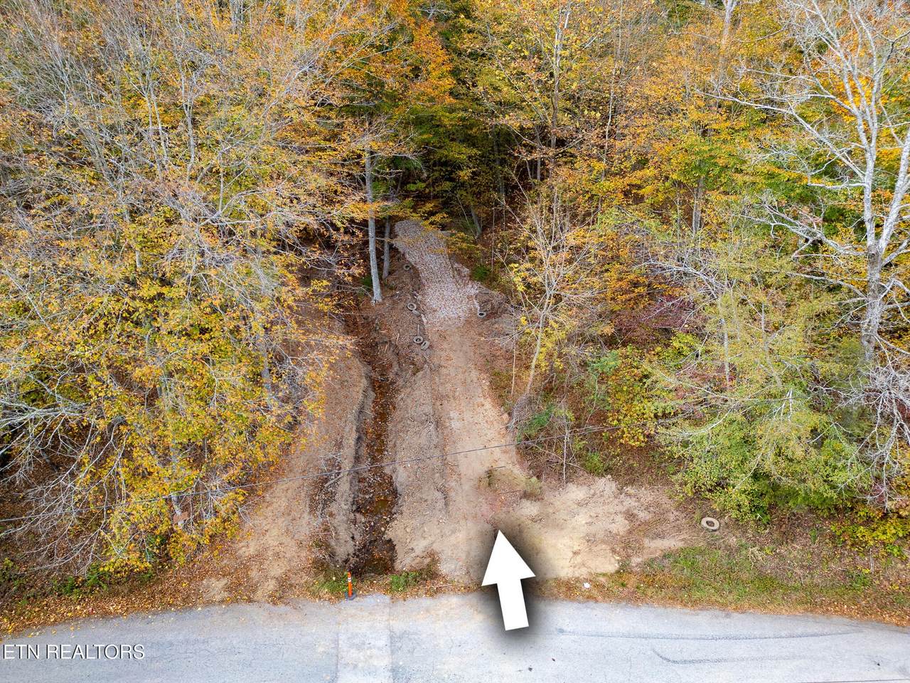 2 W Bullrun Valley Drive - Photo 1