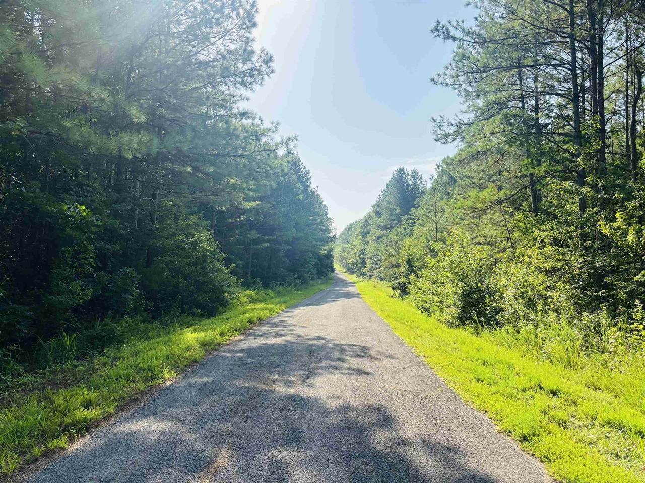 0 Old Lula Rd - Photo 1