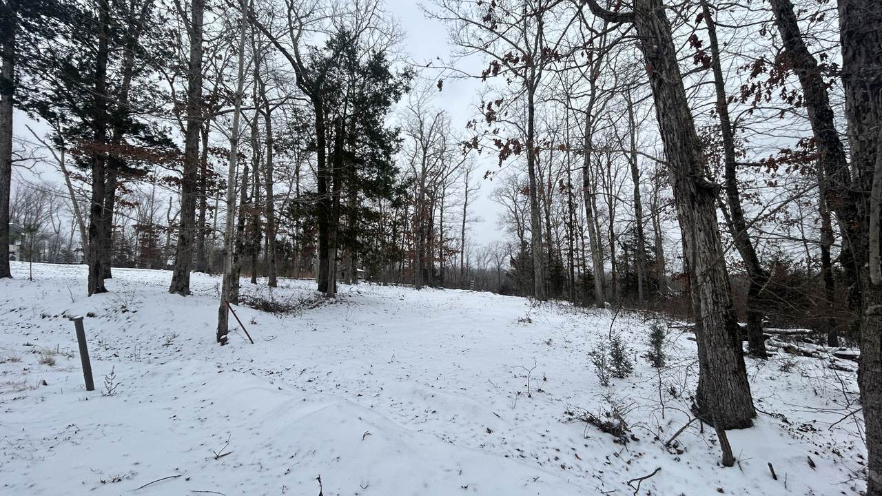 97 Cardinal Hollow Rd - Photo 1