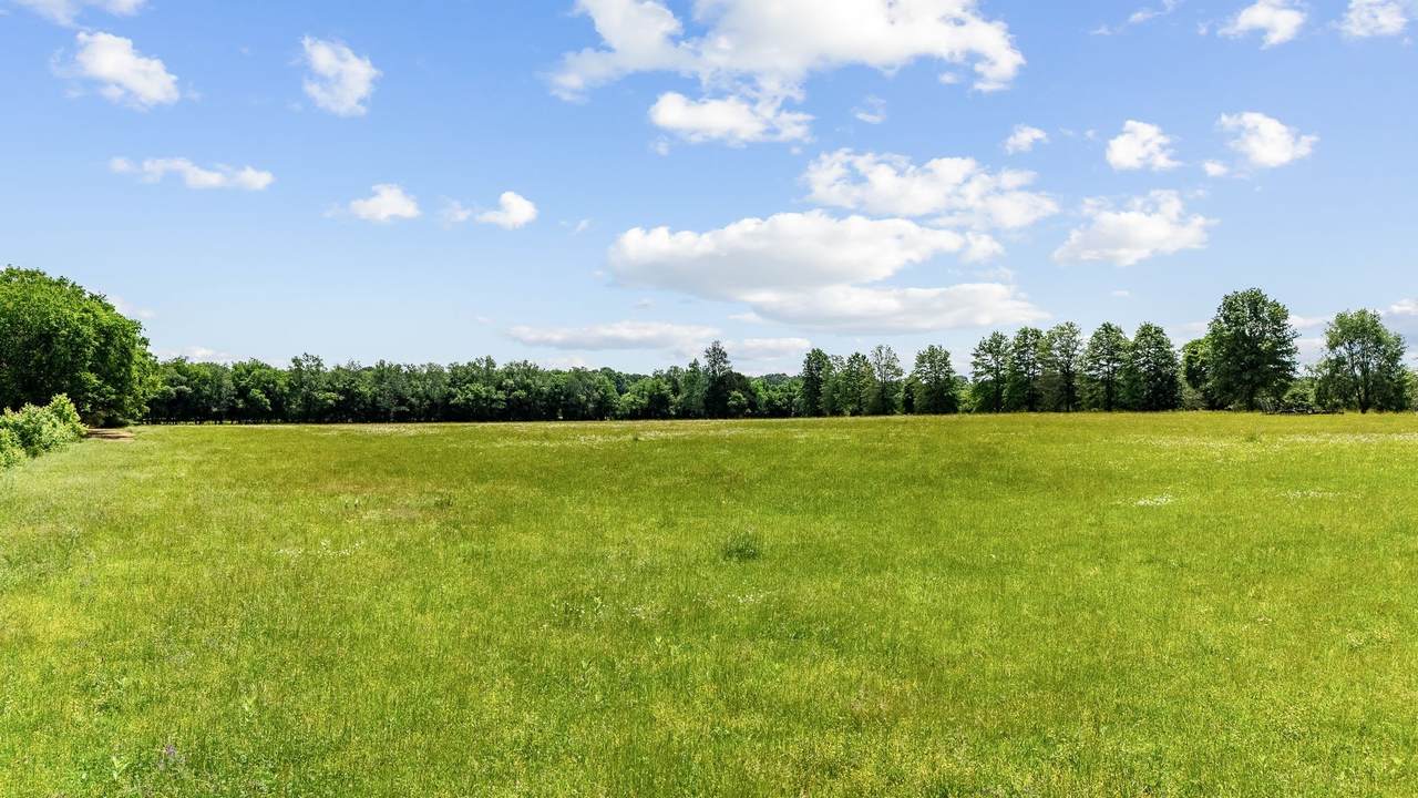 3077 Nashville Hwy - Photo 1