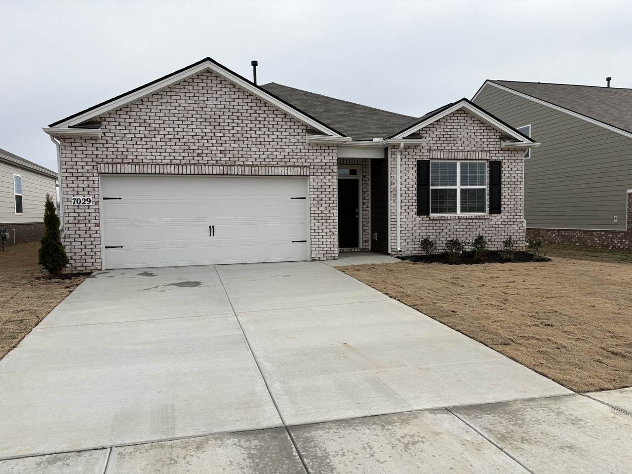 7029 Penny Ln - Photo 1