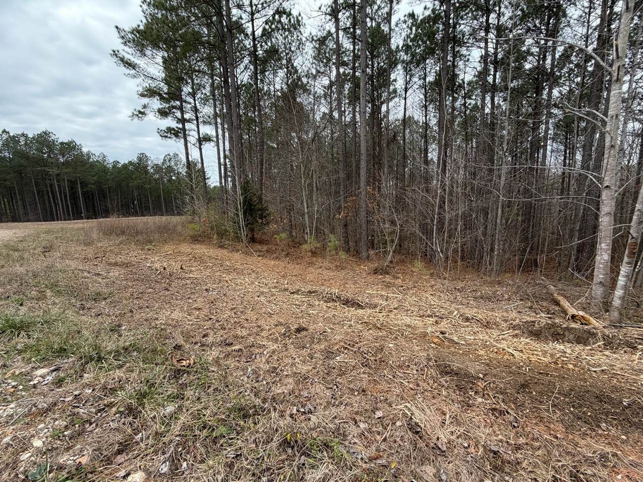 1A Bartlett Rd - Photo 1