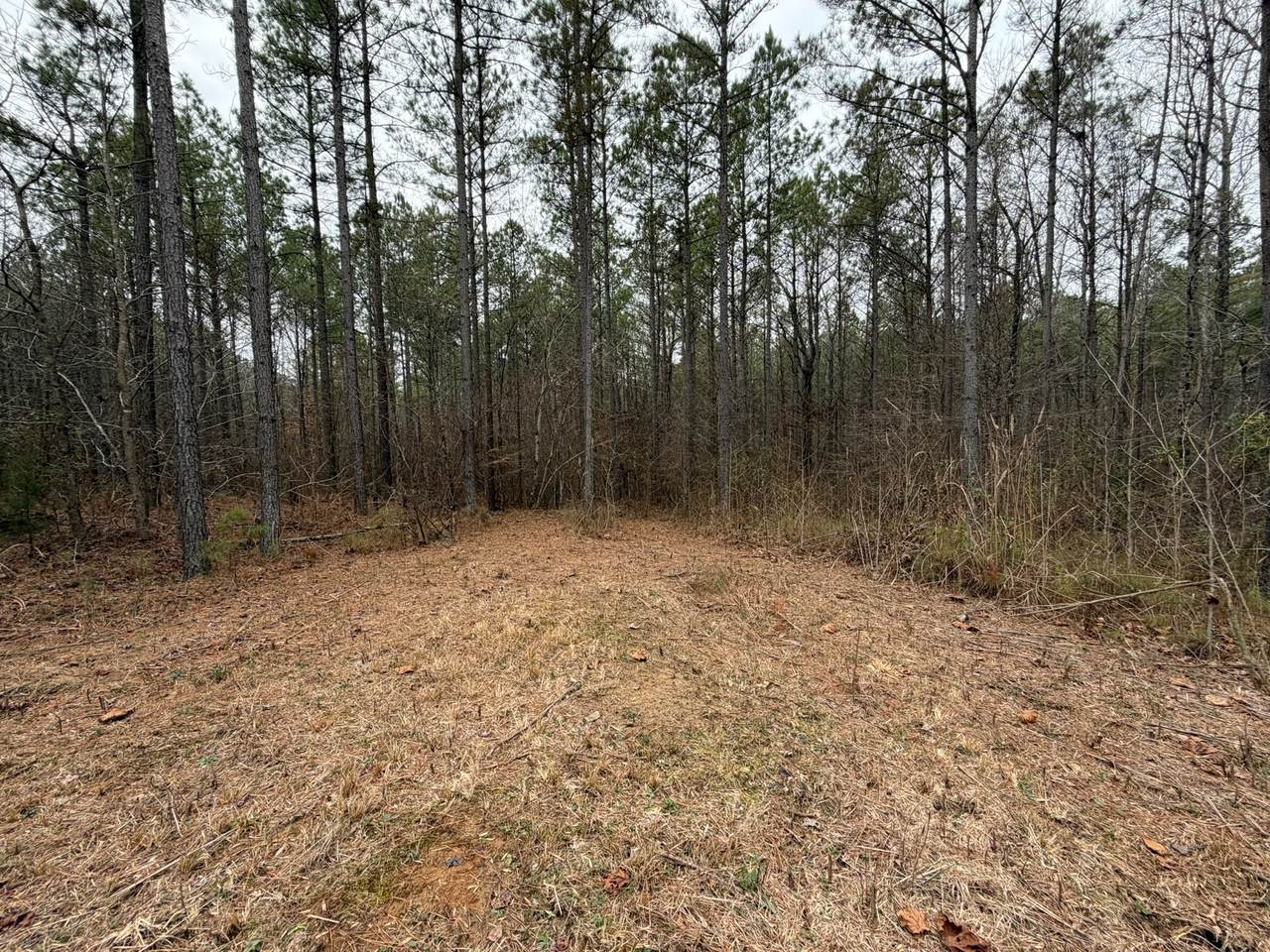 4 Bartlett Rd - Photo 1