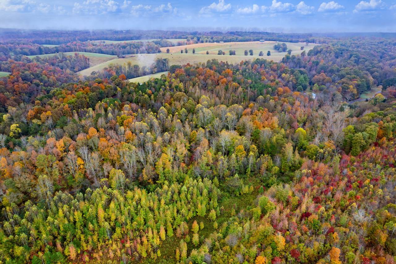 0 Ducktown Road - Photo 1