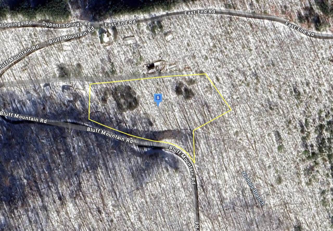 2588 Bluff Mountain Rd - Photo 1