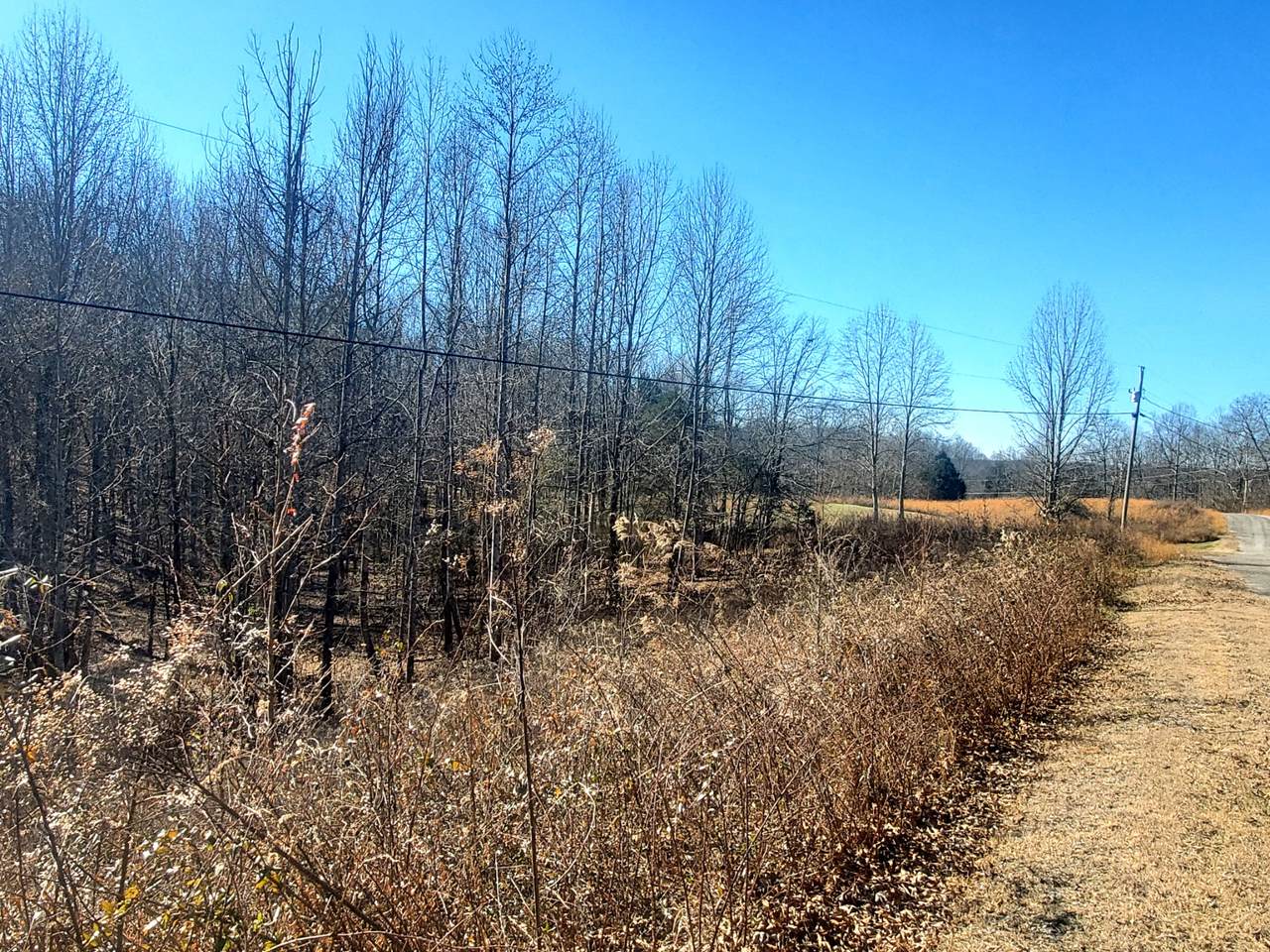 0 Summer Breeze Dr - Photo 1