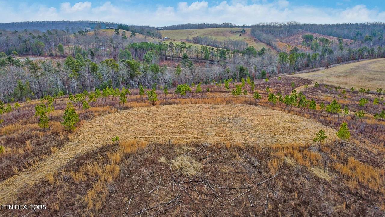 0 Possom Trot Rd. - Tract 2 - Photo 1