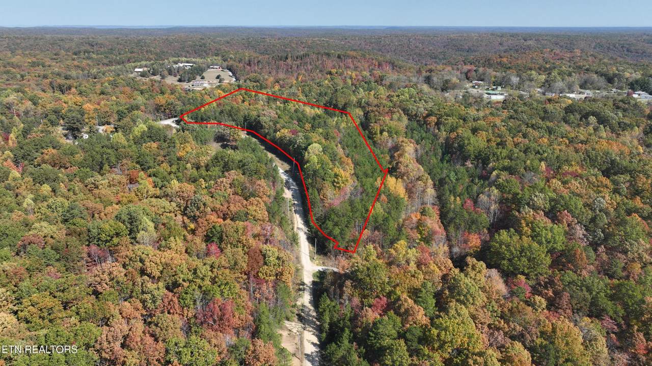 0 Wilder Hwy - Photo 1