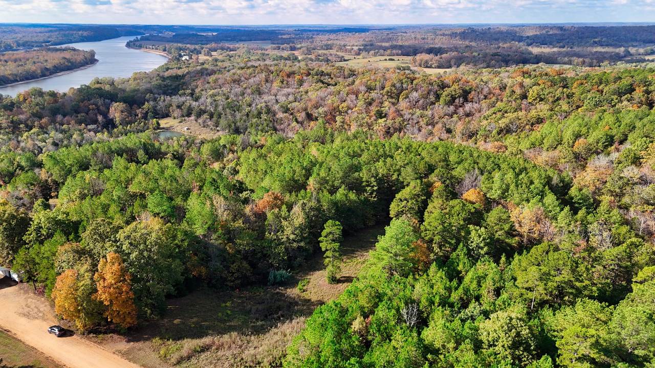 619 Bridge View Cv - Photo 1