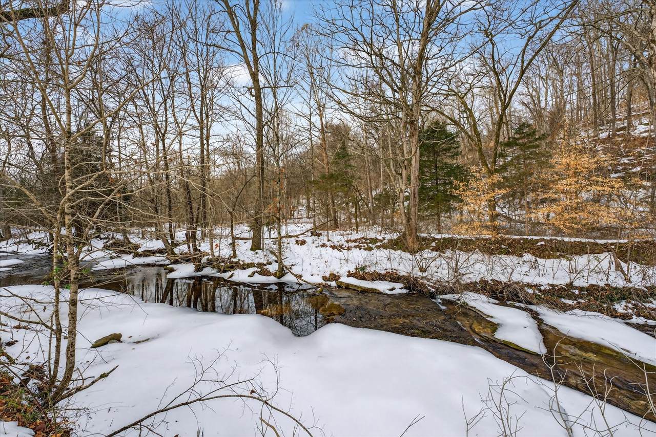 3712 Budds Creek Rd - Photo 1