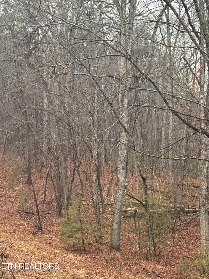 18 Bacham Court - Photo 1