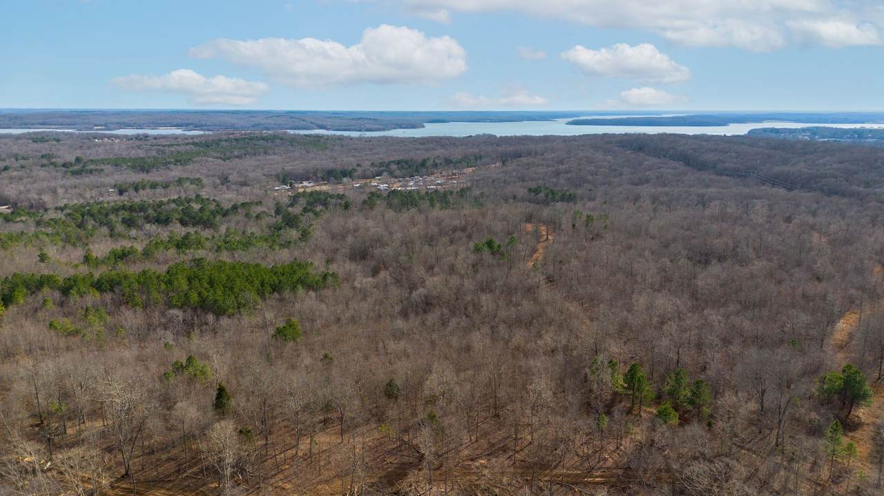 2 Olde Tennessee Trail - Photo 1