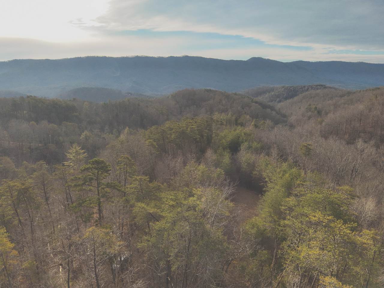 1133 Macedonia Martin Gap Rd - Photo 1